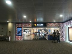 -日上免税行(浦东机场五店)