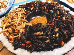 -紫滇源云南生态菜(丹凤街店)