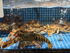 -东海怡品海鲜豆捞(舟宿夜江店)