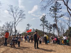 -青龙山国家森林公园