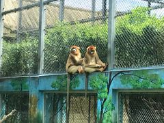 -西安秦岭野生动物园