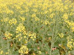 -驿舍·民國老营房院子私房菜(科学会堂店)