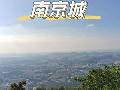-紫金山山顶公园