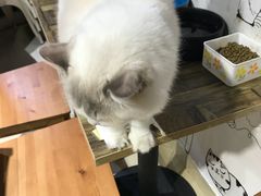 -小时光咖啡馆(开森度假森林店)