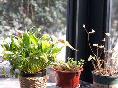 -爸爸糖吐司面包(南京奥体店)