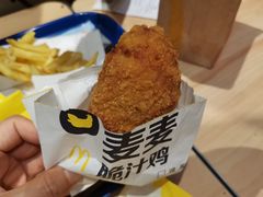 -麦当劳(塔园路店)