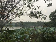 -湖畔居茶楼(湖滨店)