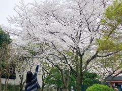 -浙江省博物馆(孤山馆区)