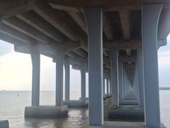 -宝安西湾红树林湿地公园