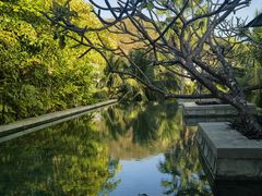 -日落吧·海景咖啡厅·餐酒吧·鸡尾酒·下午茶·乐队表演·浪漫夕阳·三亚文华东方酒店