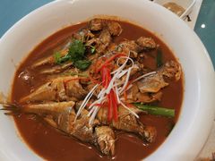 -大连湾旭日·家宴·海肠捞饭(马栏广场店)