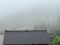 -紫鹊界梯田景区