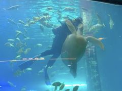 -洛阳龙门海洋馆