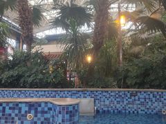 -郑州银基黄帝宫御温泉