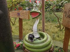 -南宫五洲植物乐园