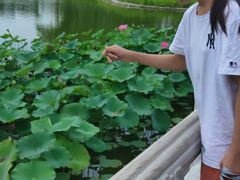 -西海子公园