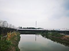 -马陆小张葡萄园农家乐