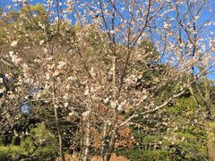 -热田神宫