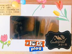 -乡田小墅(展览馆路JK FUN商城店)