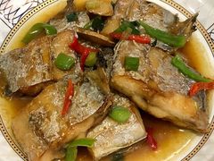 -优护优家Ucare月嫂育儿嫂陪伴师(静安店)