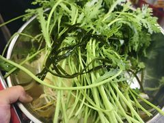 -苏袁麻辣烫(呼和浩特总局街店)