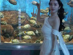 -合肥海洋世界