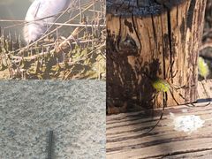 -西青郊野公园