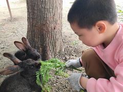 -菊园百果园