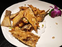 -顺峰顺水顺德菜(龙华店)