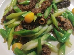 清炒羊肚菌-新川办餐厅
