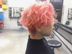 -SALON V