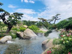 -罗红摄影艺术馆