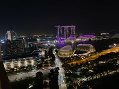 -新加坡瑞士史丹福酒店