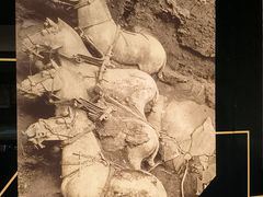 -秦始皇帝陵博物院(兵马俑)