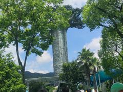 -苏州乐园森林水世界