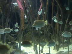 -福州罗源湾海洋世界旅游区