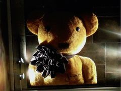 -济州岛泰迪熊博物馆