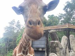 -清迈夜间动物园