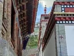 -塔尔寺-菩提树