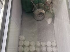-洪馨椰子