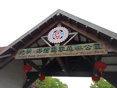 -上海海湾国家森林公园