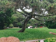 -青岛海滨风景区小青岛