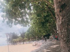 -黄金海岸环岛路