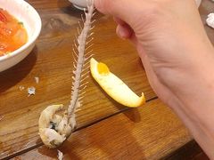 -禧福楼·十五年老店(科技城店)