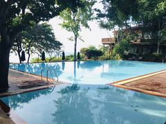 -卷心菜和避孕套餐厅(Pattaya)