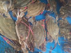 -宾朋海鲜特色美食餐厅·纯手工鲅鱼水饺(兴海路店)