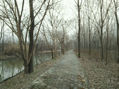 -溱湖国家湿地公园