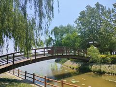 -白洋淀景区