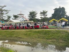 -长洲岛