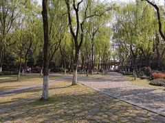 -柳浪闻莺公园